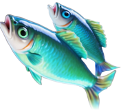 Aller à la pêche